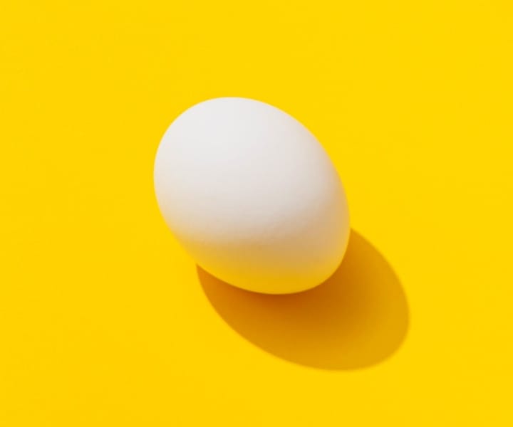 egg on bright yellow background